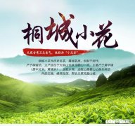怎样提高桐城小花茶叶的销量