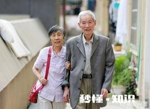 丧偶的父亲想找晚年老伴，该怎么办