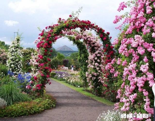 如何打造爱情文化旅游目的地