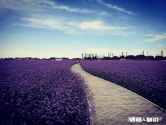 如何打造爱情文化旅游目的地