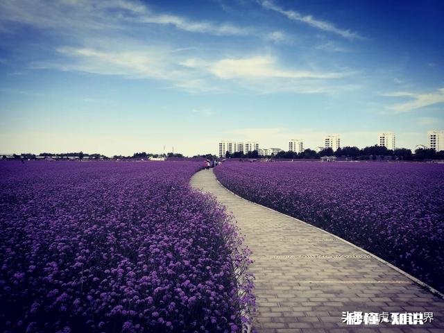 如何打造爱情文化旅游目的地