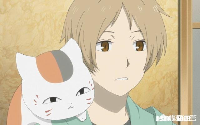 治愈系动漫真的有治愈的作用吗