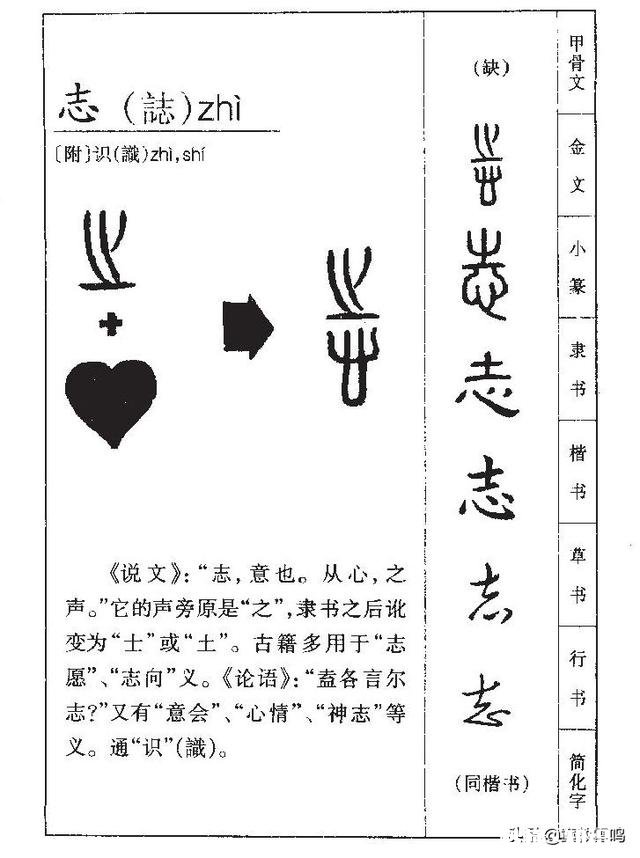 为何是“下半旗志哀”而非“下半旗致哀”呢你懂下半旗知识吗