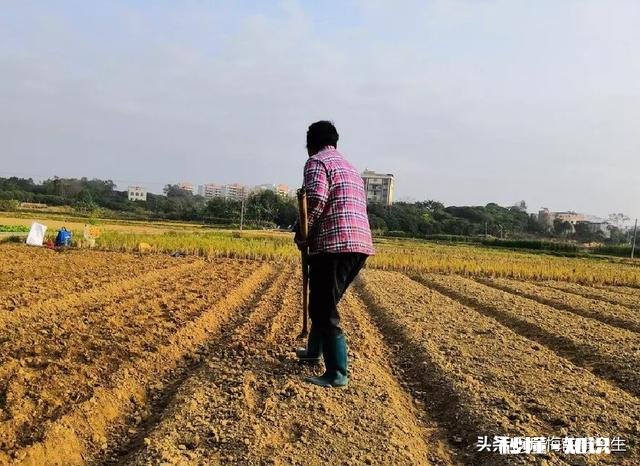 农村合村并居。有哪些好处和不足呢