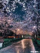 如何维持特别好的友情，是否有人跟谁都还好，但都没有特别好