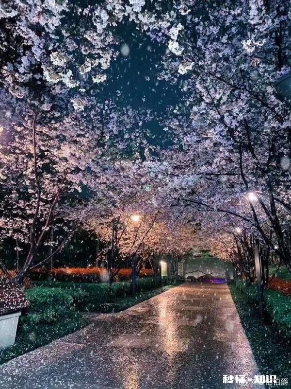 如何维持特别好的友情，是否有人跟谁都还好，但都没有特别好