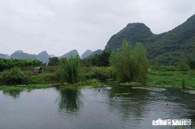 你愿意和你爱的人，回农村种地，过着粗茶淡饭，与世无争的生活吗一间房，一辆自行车