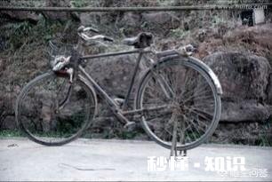 你愿意和你爱的人，回农村种地，过着粗茶淡饭，与世无争的生活吗一间房，一辆自行车