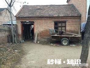 你愿意和你爱的人，回农村种地，过着粗茶淡饭，与世无争的生活吗一间房，一辆自行车