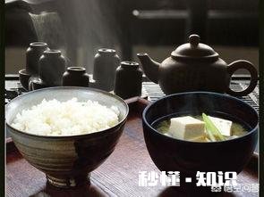 你愿意和你爱的人，回农村种地，过着粗茶淡饭，与世无争的生活吗一间房，一辆自行车