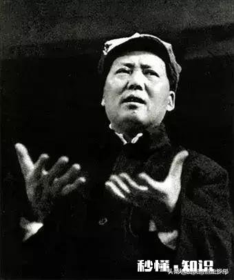 自幼在农村长大的你，到了现在为什么会喜欢在城市生活呢