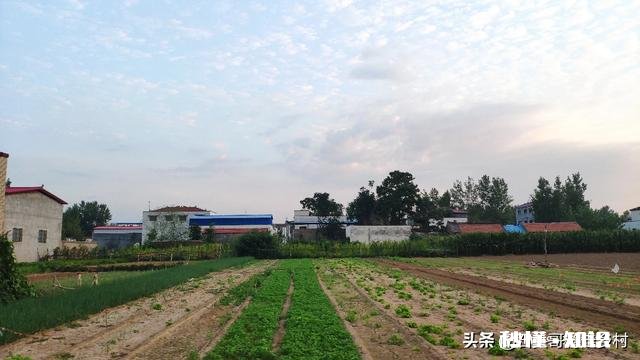 自幼在农村长大的你，到了现在为什么会喜欢在城市生活呢