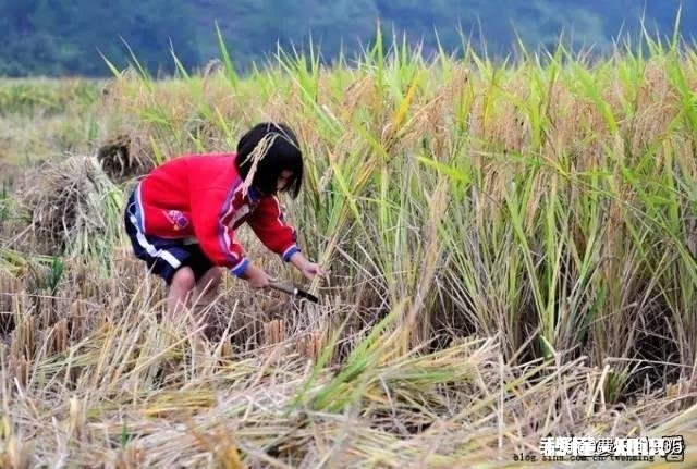 自幼在农村长大的你，到了现在为什么会喜欢在城市生活呢