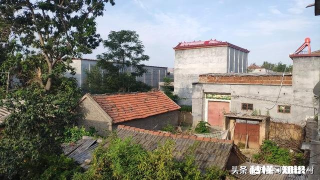 自幼在农村长大的你，到了现在为什么会喜欢在城市生活呢