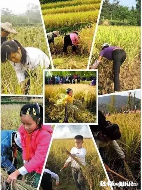 自幼在农村长大的你，到了现在为什么会喜欢在城市生活呢