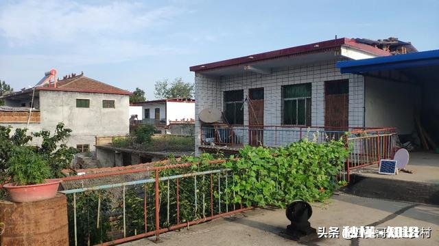 自幼在农村长大的你，到了现在为什么会喜欢在城市生活呢