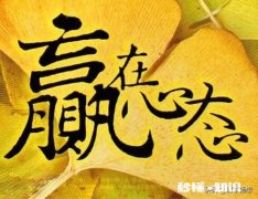 你觉得除了年龄还有什么能证明你年轻为什么