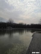 是什么让你对一个暗恋了十年的人突然选择了放弃呢