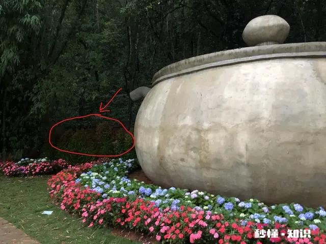 合谋杀害女友的洪某，前女友评价他爱沾花惹草，怎么看