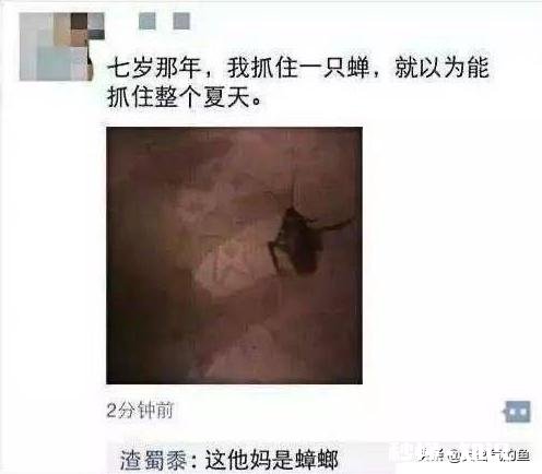 有哪些好笑的朋友圈神回复，有截图吗