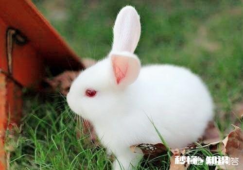 你是因为什么喜欢上Ta的