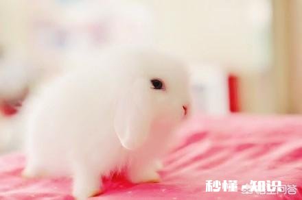 你是因为什么喜欢上Ta的