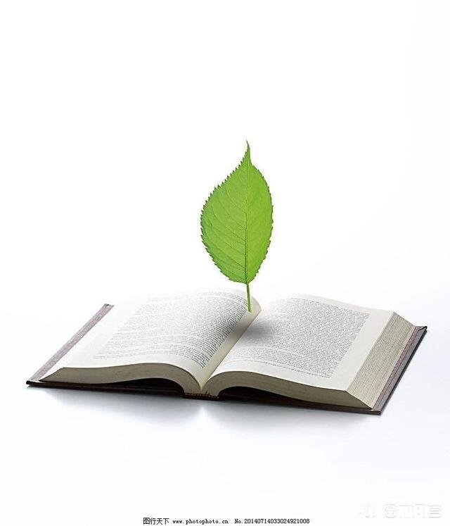 你是因为什么喜欢上Ta的