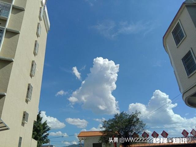 金钱可以让爱情更美好，但是这能划等号吗