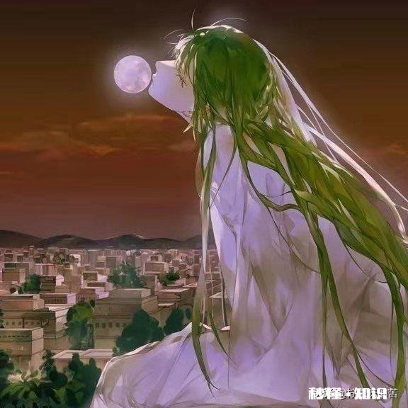 令你只看一次就记住的诗句有哪些