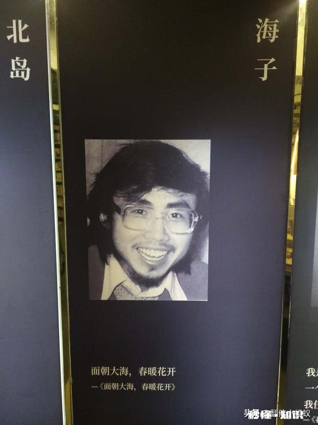 令你只看一次就记住的诗句有哪些