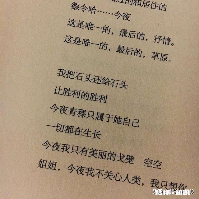 令你只看一次就记住的诗句有哪些