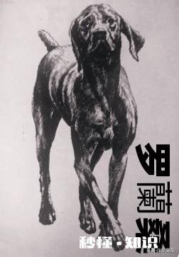 绘画透视中看什么书籍可以提升自己