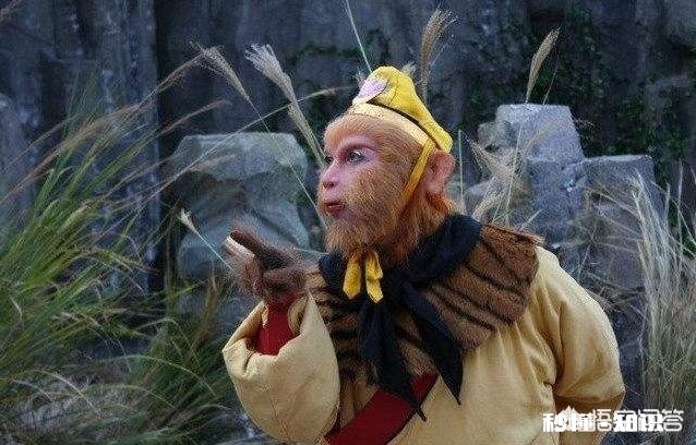 孙悟空72变都能变什么，有何依据