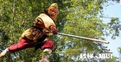 孙悟空72变都能变什么，有何依据