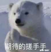 “磕cp”到底是指磕友情还是爱情