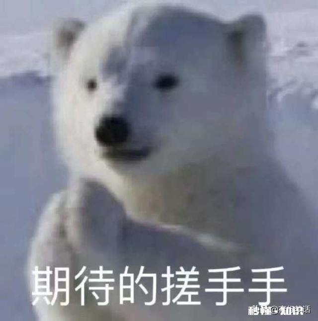 “磕cp”到底是指磕友情还是爱情