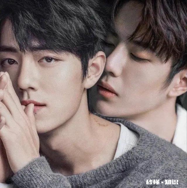 “磕cp”到底是指磕友情还是爱情