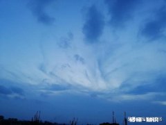 作为职场人，本打算辞职的。疫情来后决定回公司复工。因为不想折腾了，你怎么看