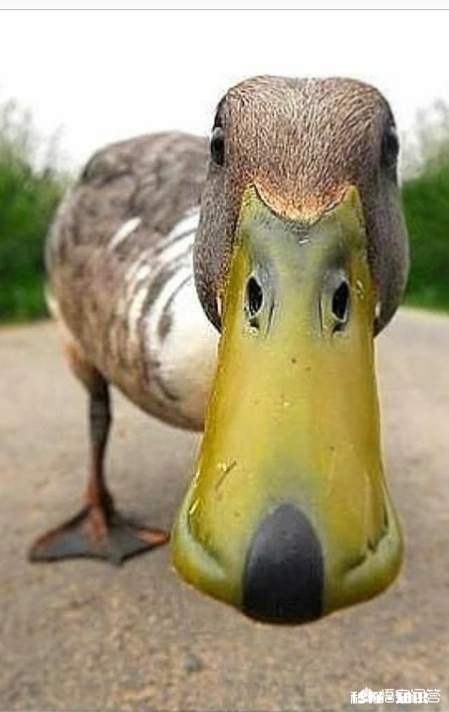 停车一位难求，济南人开启逛吃模式，网友自曝从济南到泰安的“人在囧途”, 你怎么看