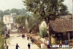 你中学的时候做过什么傻事