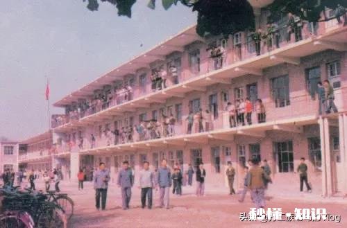 你中学的时候做过什么傻事