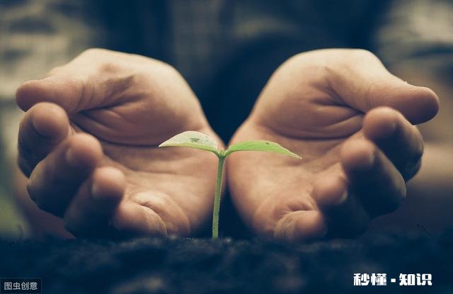 孩子叛逆期,不爱学习,送军事化夏令营有用吗