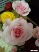 长期用化妆品，对脸部皮肤会有什么危害