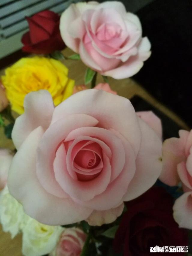 长期用化妆品,对脸部皮肤会有什么危害