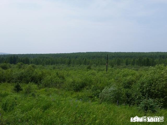 8月份，国内适合旅游的地方有哪些