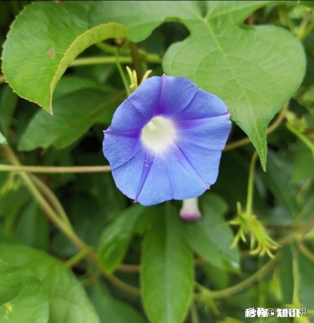 50岁，已经退休，还能找到另一半吗