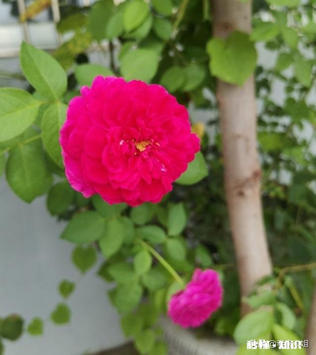 50岁，已经退休，还能找到另一半吗