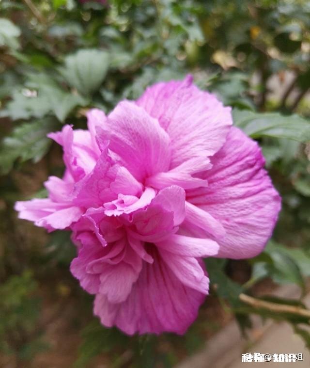 50岁，已经退休，还能找到另一半吗