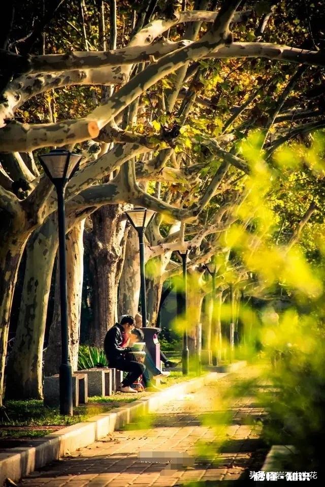 南开大学的什么让你特别想吐槽