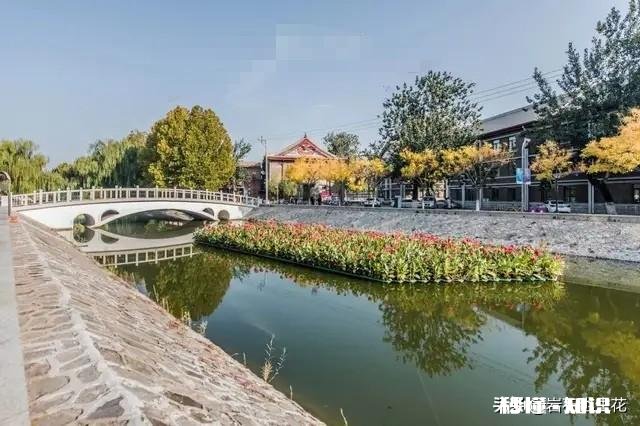 南开大学的什么让你特别想吐槽